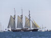 TBOA - Tall Ships Falmouth 2014